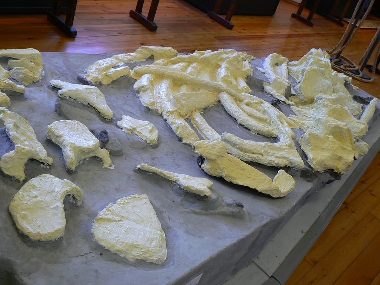 Festa scuola Ale 089